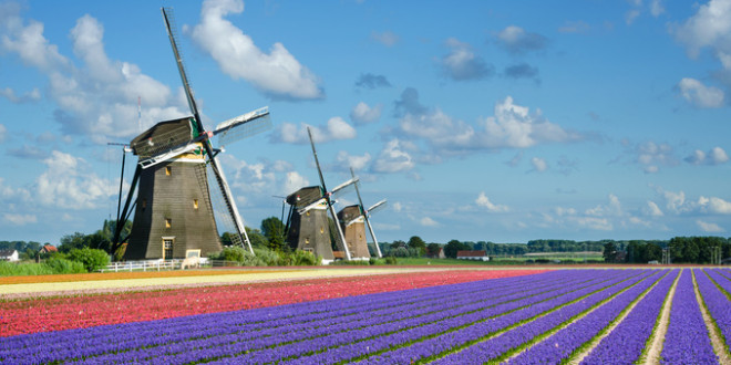 荷蘭的春天