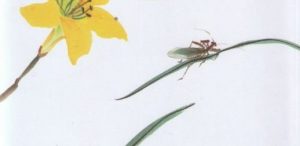 旅美華人史篇之一章