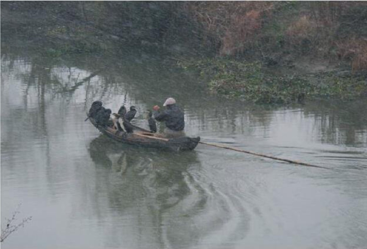 給燕唐學長的信