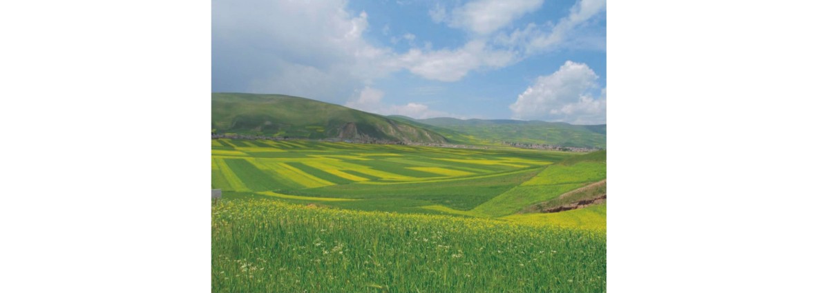 七月的青海 ～ 訪裕琅希望小學