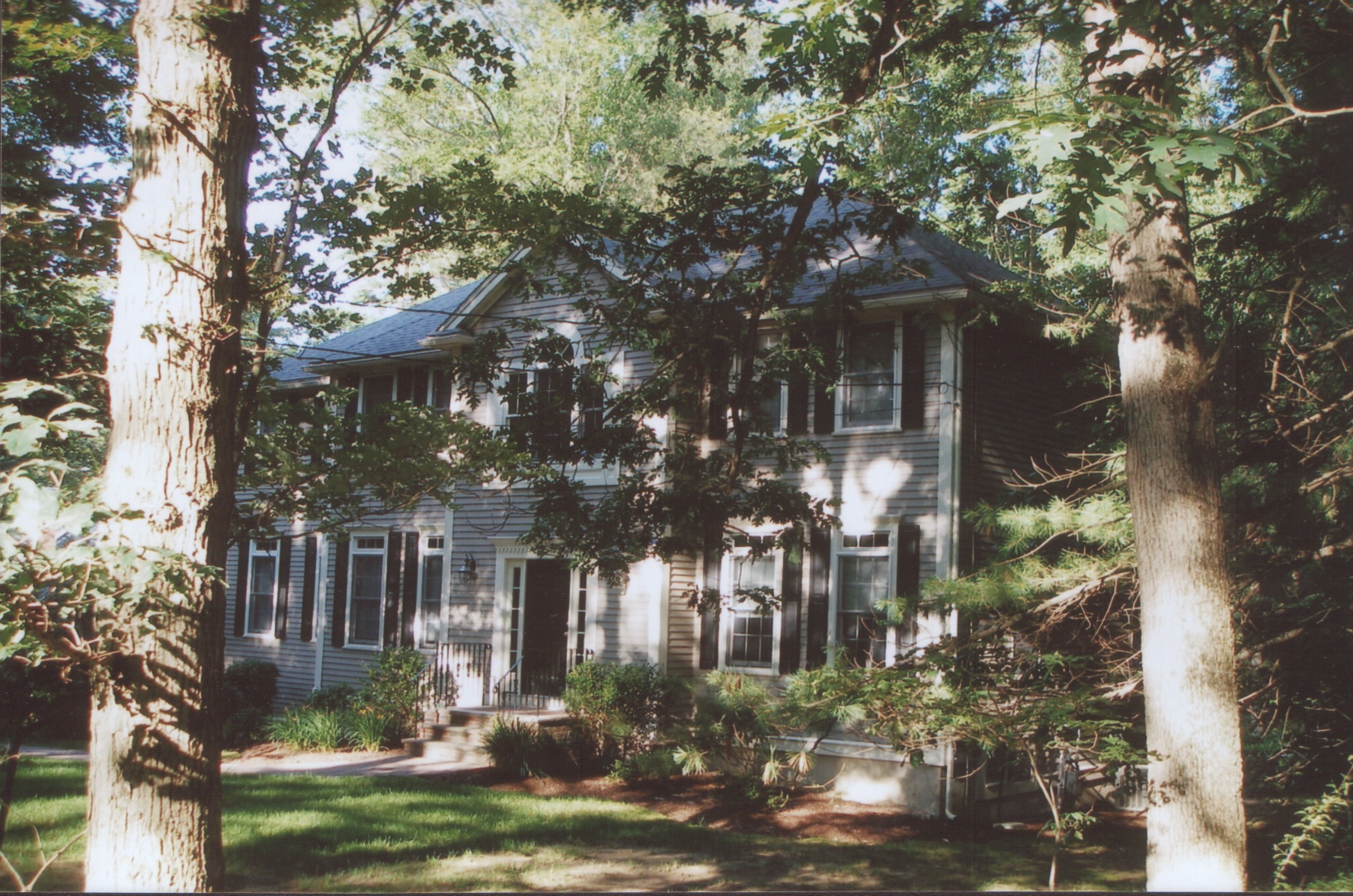 一棟棟式樣各異,典雅古樸的華屋都是隱藏在密林中