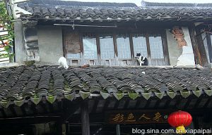 「你來這裡看風景,我在屋頂為你看守」的「貓探長」