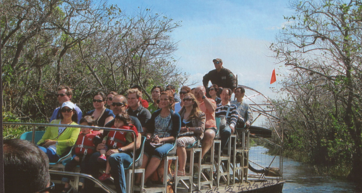 邁阿密濕地 － 鱷魚公園遊記