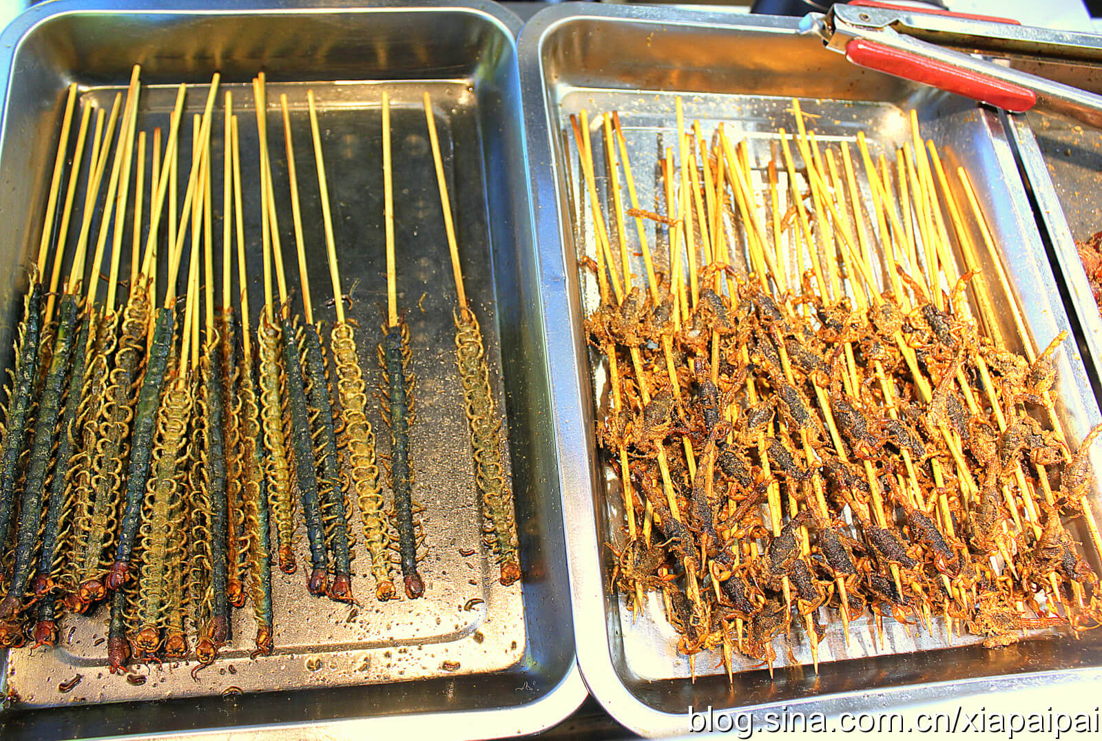 蜈蚣,蠍子等,蜈蚣好似剛賣掉一串