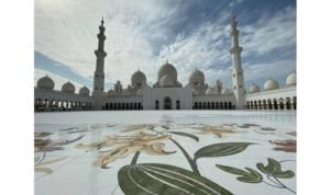 我眼中的繽紛世界 —— 橋牌友們的另一個視野