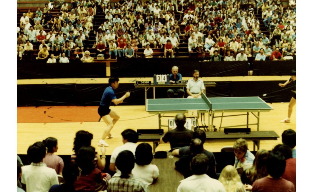 乒乓之樂樂如何