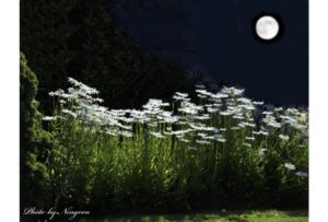 又到中秋月圓時