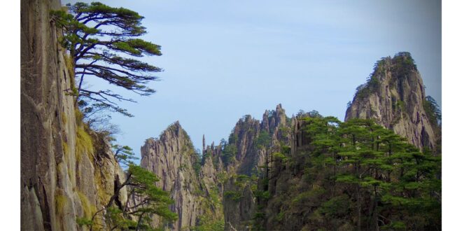 黃山歸來